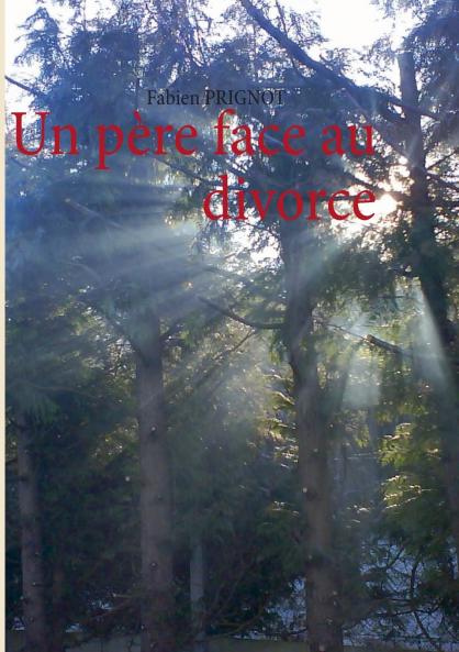 Un père face au divorce