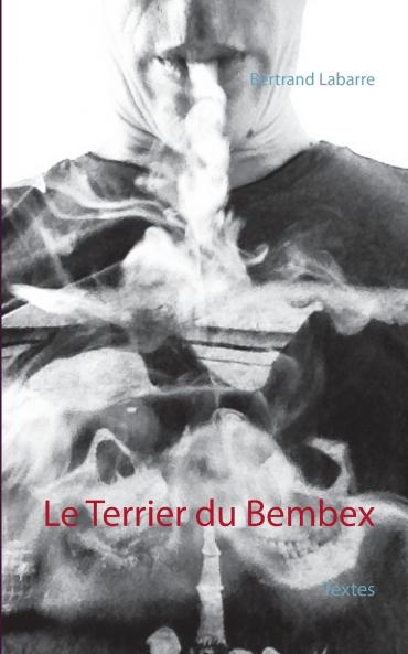 Le Terrier du Bembex