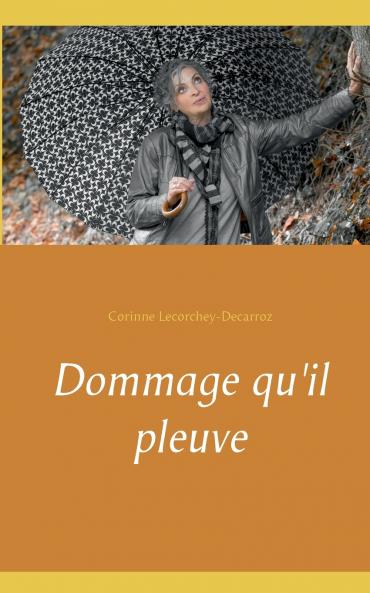 Dommage qu'il pleuve