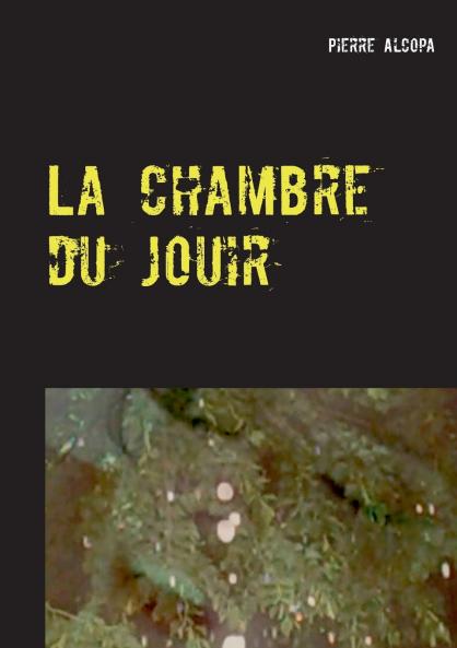 La chambre du jouir
