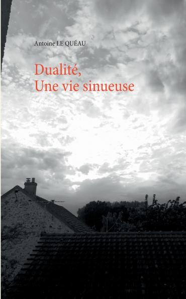 Dualité