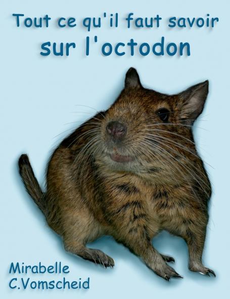 Tout ce qu'il faut savoir sur l'octodon