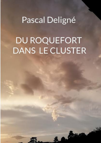 Du roquefort dans le cluster