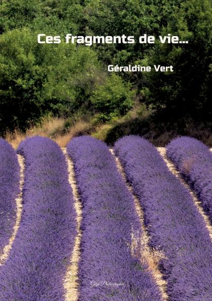 Ces fragments de vie...