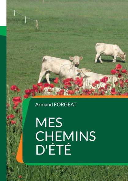 Mes chemins d'été