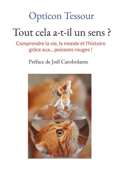 Tout cela a-t-il un sens ?