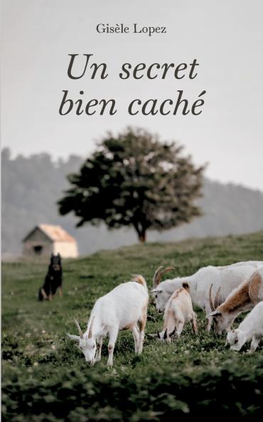Un secret bien caché (French Edition)