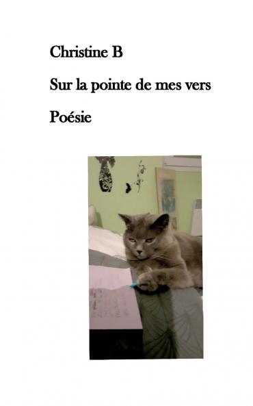 Sur la pointe de mes vers