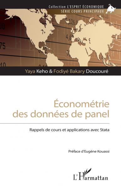 Économétrie des données de panel
