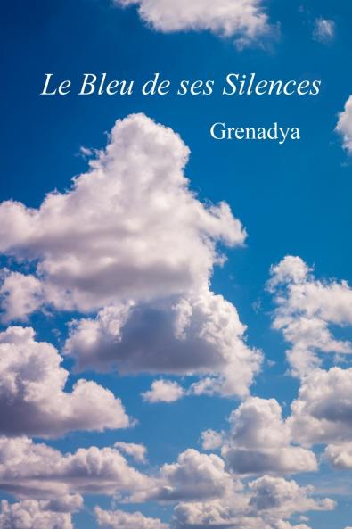 Le Bleu de ses Silences