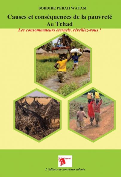 Causes et conséquences de la pauvreté Au Tchad