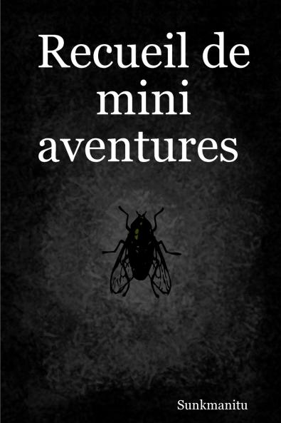 Recueil de mini aventures