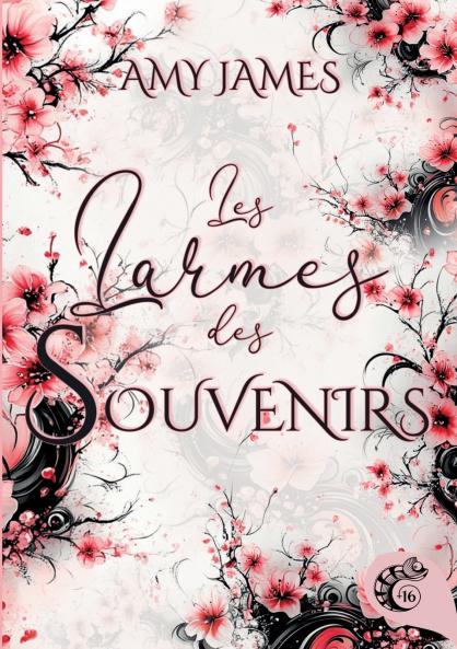 Les larmes des souvenirs
