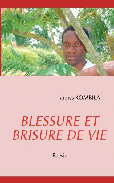BLESSURE ET BRISURE DE VIE