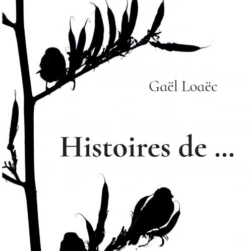 Histoires de...