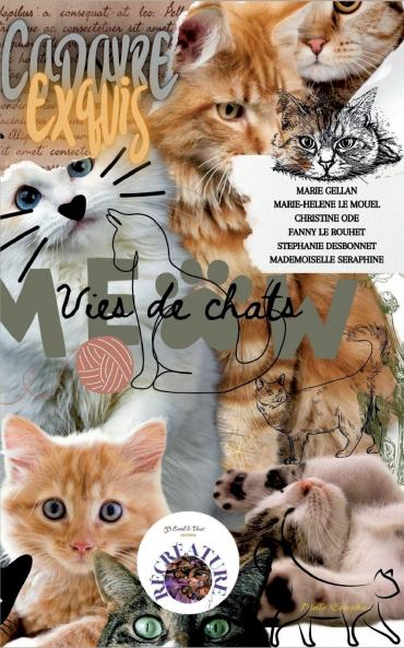 Vies de chats