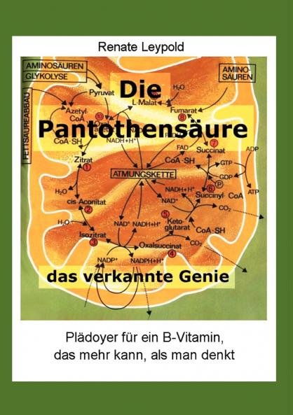 Die Pantothensäure - das verkannte Genie