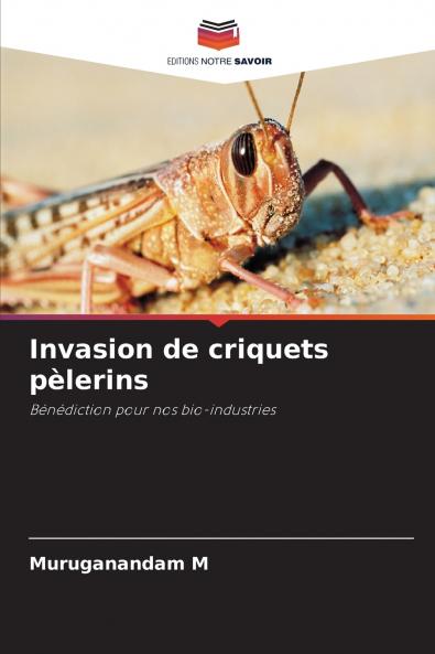 Invasion de criquets pèlerins