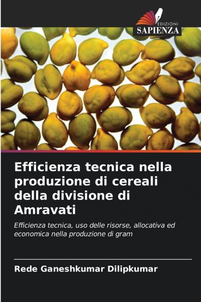Efficienza tecnica nella produzione di cereali della divisione di Amravati