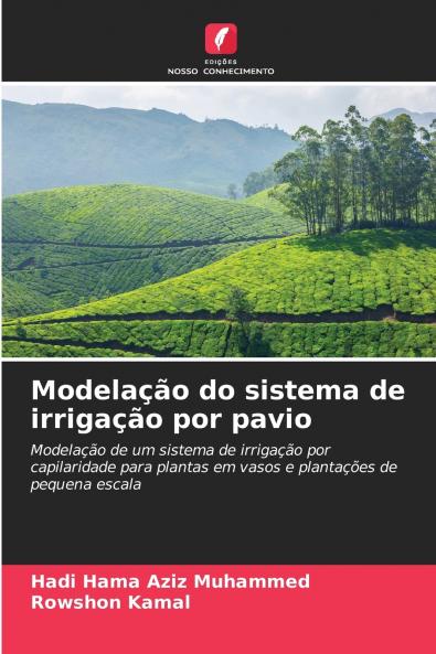 Modelação do sistema de irrigação por pavio