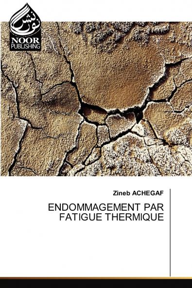ENDOMMAGEMENT PAR FATIGUE THERMIQUE