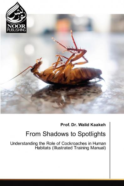 From Shadows to Spotlights