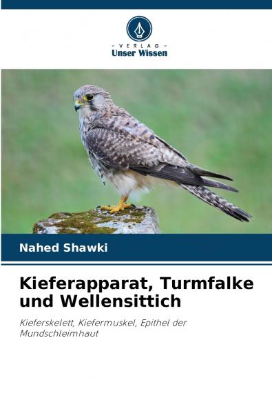 Kieferapparat Turmfalke und Wellensittich