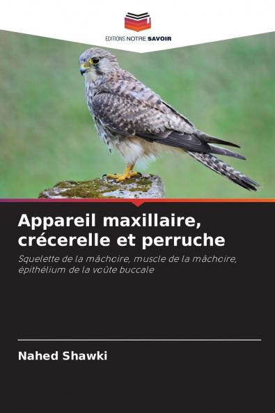 Appareil maxillaire crécerelle et perruche