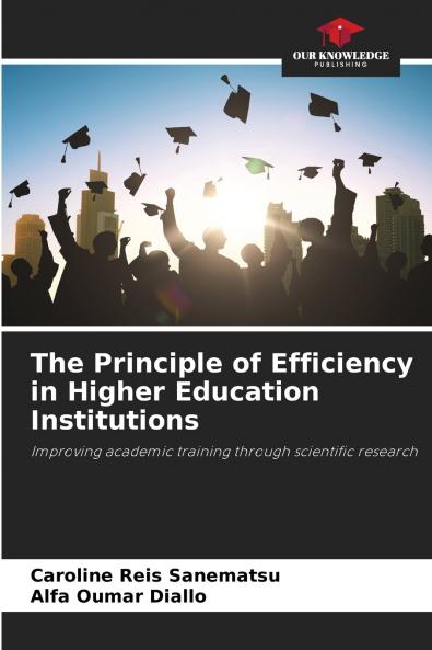 The Principle of Efficiency in Higher Education Institutions