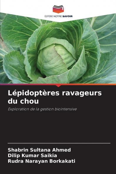 Lépidoptères ravageurs du chou