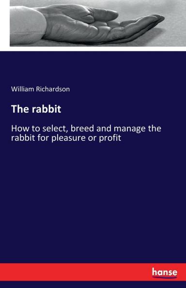 The rabbit