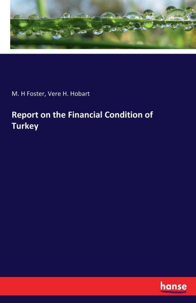 Report on the Financial Condition of Turkey