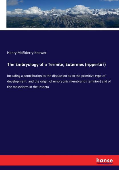 The Embryology of a Termite Eutermes (rippertii?)