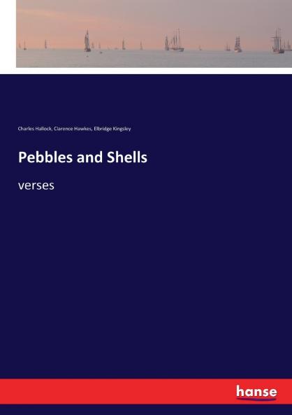 Pebbles and Shells