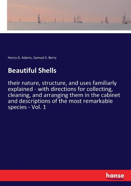 Beautiful Shells