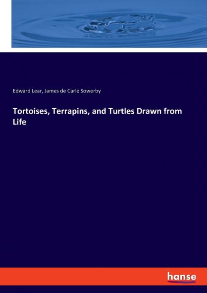 Tortoises Terrapins and Turtles Drawn from Life