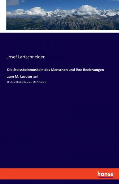 Die Steissbeinmuskeln des Menschen und ihre Beziehungen zum M. Levator ani