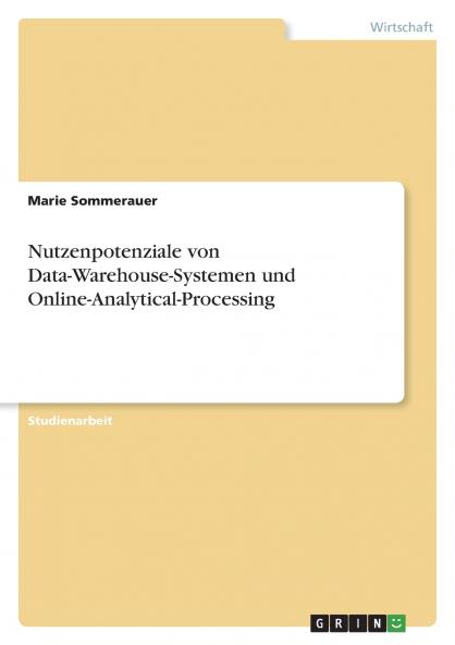 Nutzenpotenziale von Data-Warehouse-Systemen und Online-Analytical-Processing