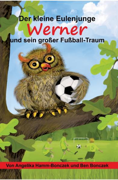Der kleine Eulenjunge Werner und sein großer Fußball-Traum