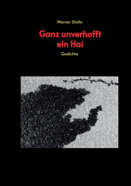 Ganz unverhofft ein Hai
