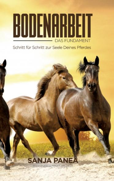 Bodenarbeit - Das Fundament