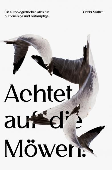 Achtet auf die Möwen!