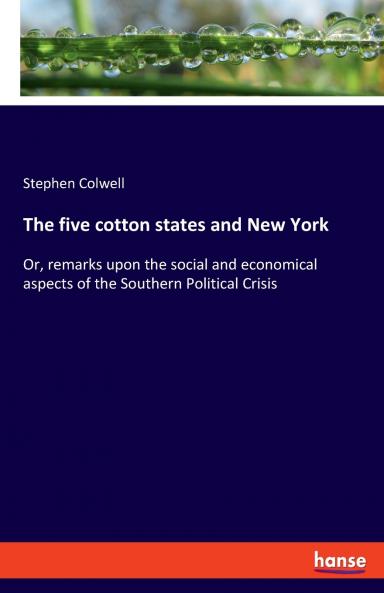The five cotton states and New York