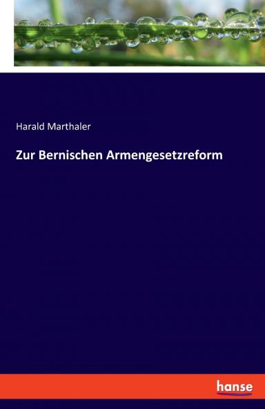 Zur Bernischen Armengesetzreform