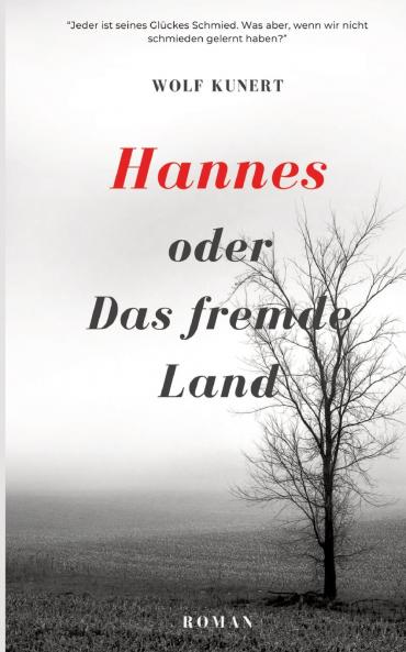 Hannes oder Das fremde Land