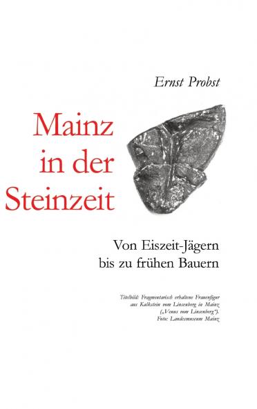Mainz in der Steinzeit