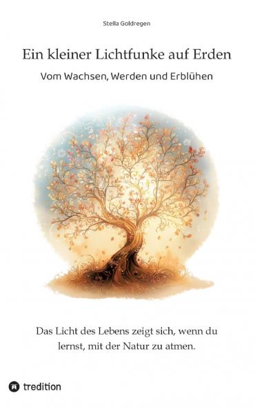 Ein kleiner Lichtfunke auf Erden