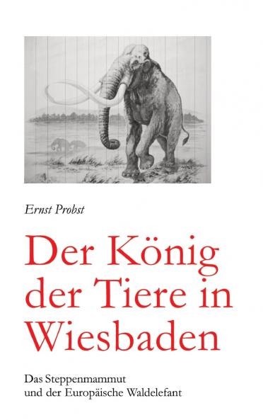 Der König der Tiere in Wiesbaden