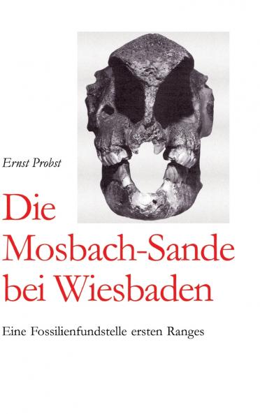 Die Mosbach-Sande bei Wiesbaden