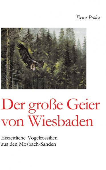 Der große Geier von Wiesbaden